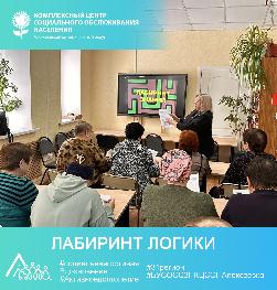 «Лабиринт логики»